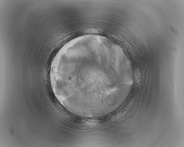 X0000115320359200912141203