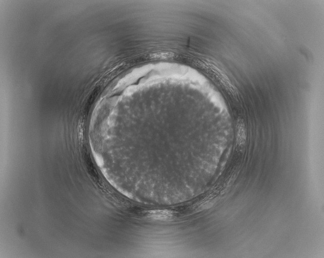 X0000115320363200912141203