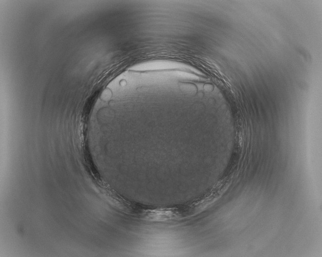 X0000115320366200912141203