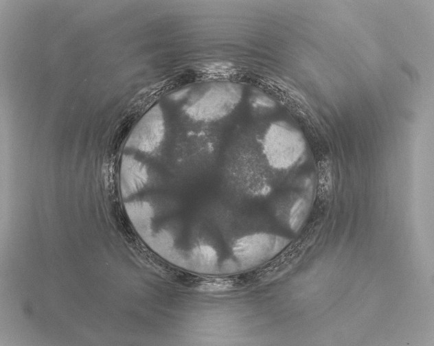 X0000115320369200912141203