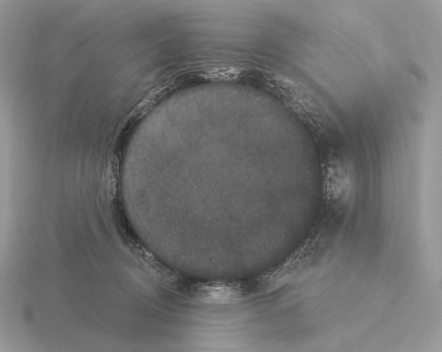 X0000115320370200912141203