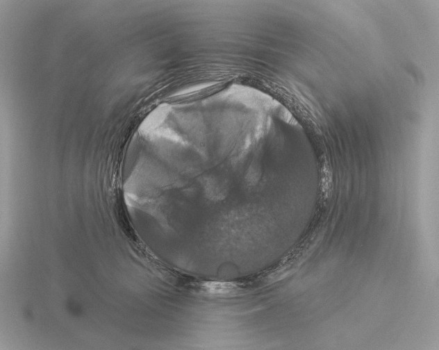 X0000115320371200912141203