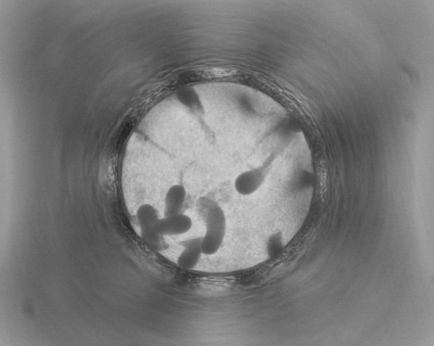 X0000115320373200912141203