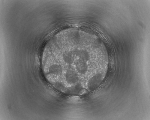 X0000115320374200912141203