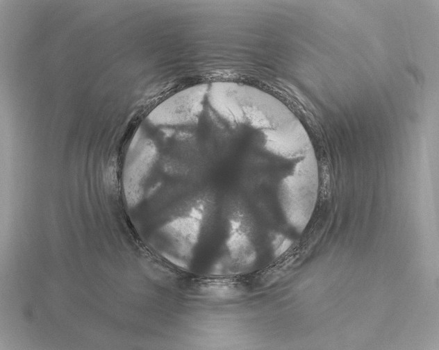 X0000115320377200912141203