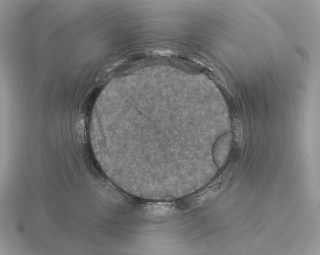 X0000115320378200912141203