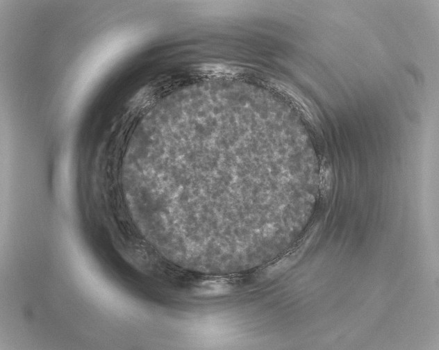 X0000115320381200912141203