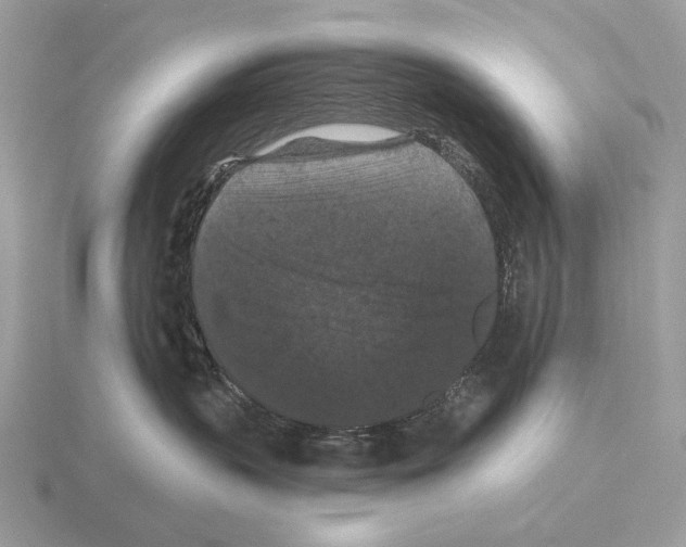 X0000115320383200912141203