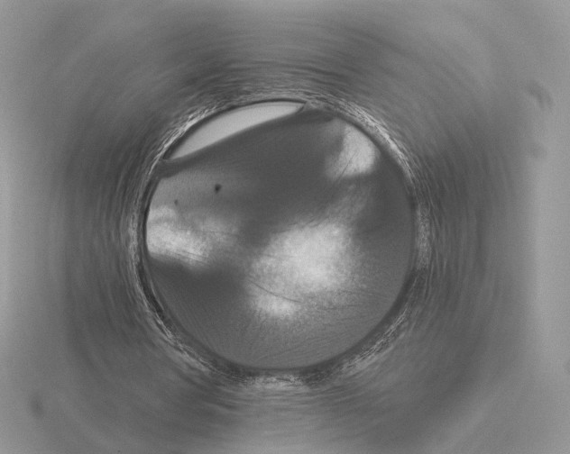 X0000115320386200912141203