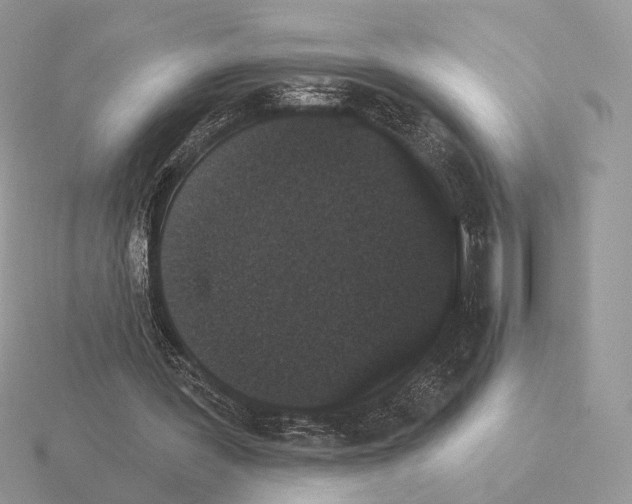 X0000115320387200912141203