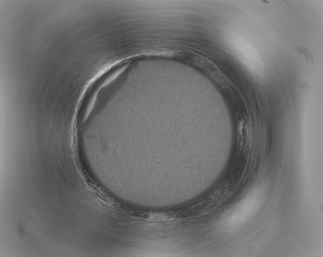 X0000115320388200912141203