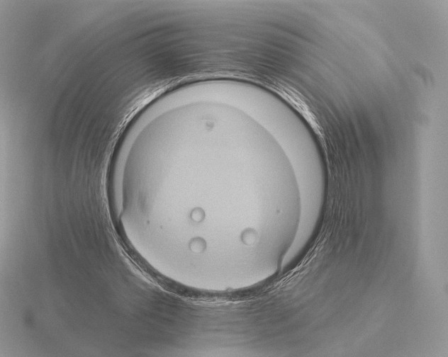 X0000115320389200912141203