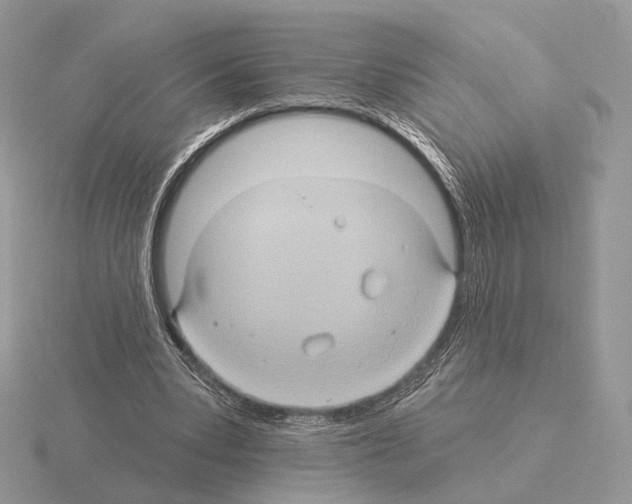 X0000115320391200912141202