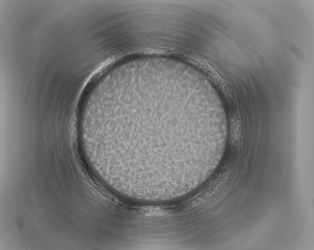 X0000115320392200912141202