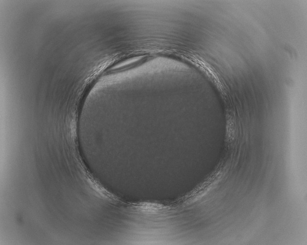 X0000115320393200912141202