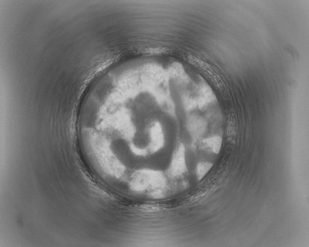 X0000115320394200912141202