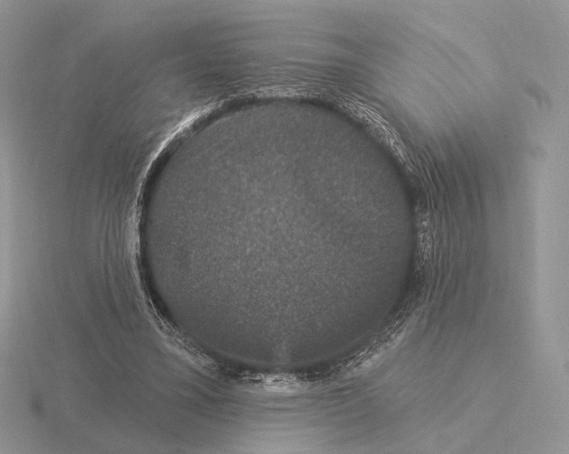 X0000115320395200912141202