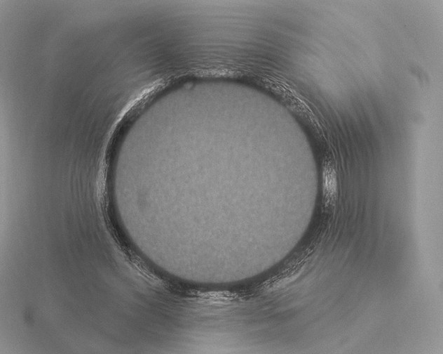 X0000115320396200912141202