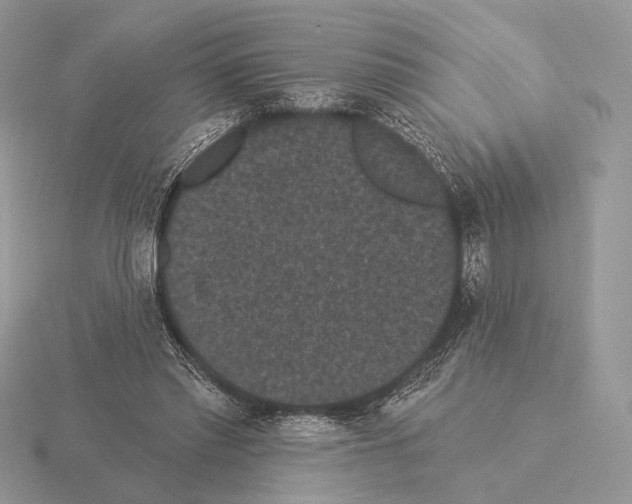 X0000115320397200912141202