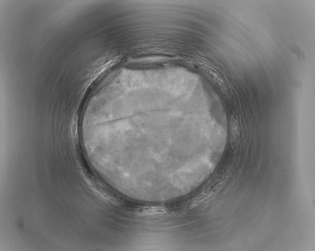 X0000115320398200912141202