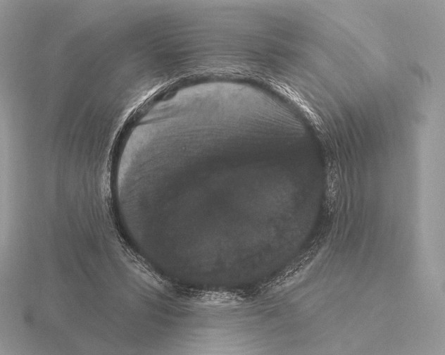 X0000115320399200912141202