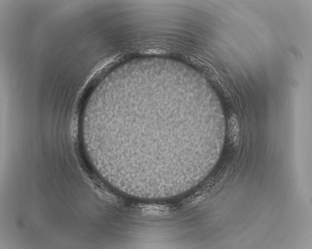 X0000115320400200912141202