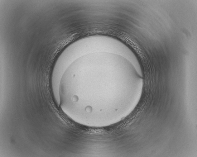 X0000115320401200912141202