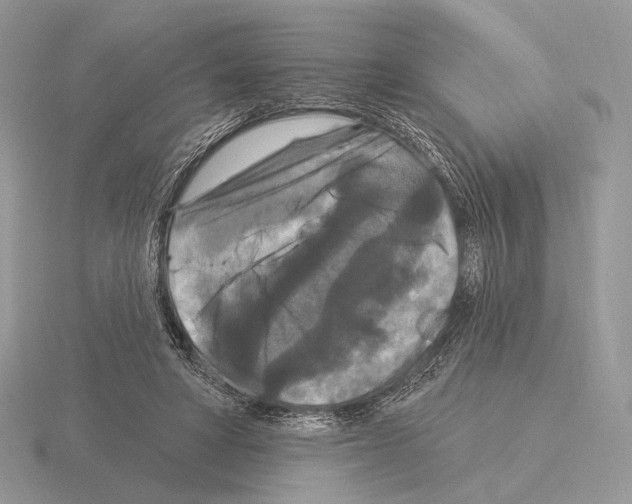 X0000115320402200912141202