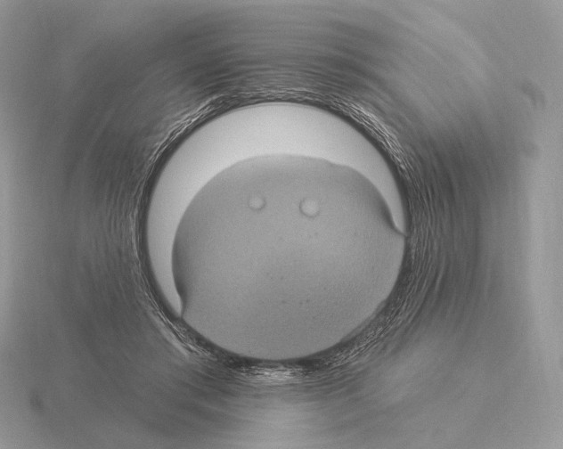 X0000115320405200912141202