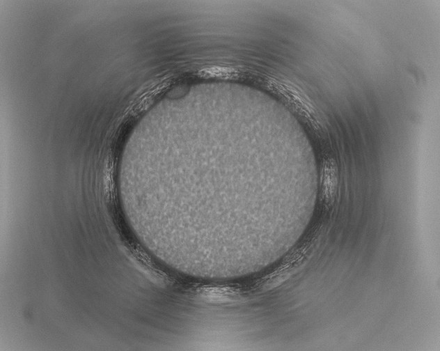 X0000115320408200912141202