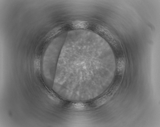 X0000115320409200912141202