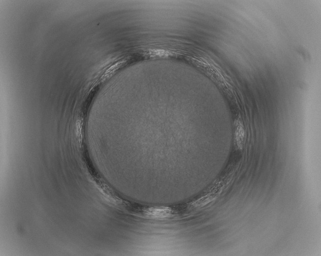 X0000115320410200912141202