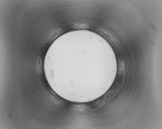 X0000115320414200912141202