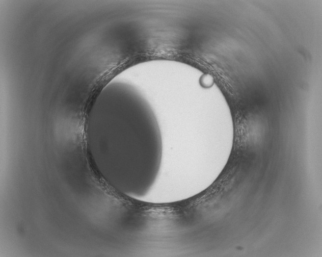 X0000115320415200912141202