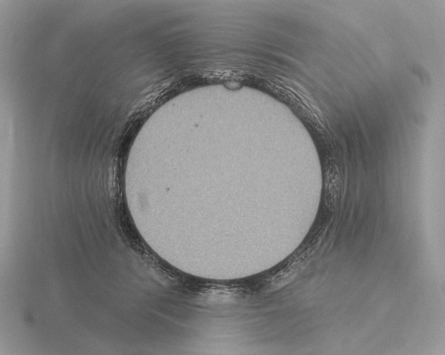 X0000115320416200912141202