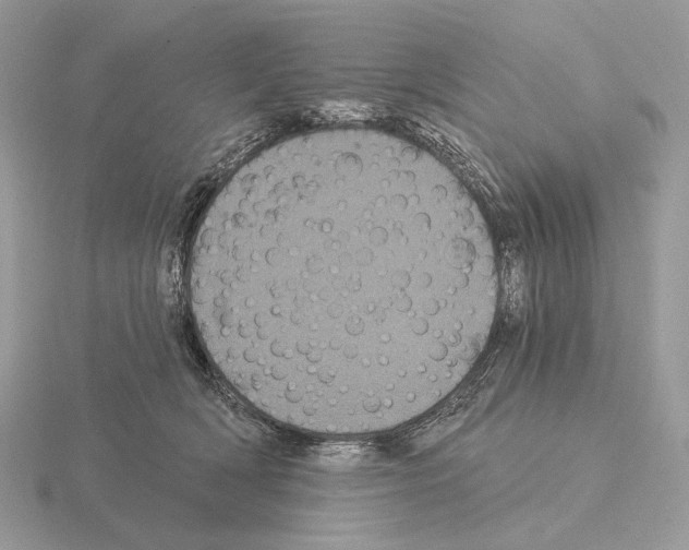 X0000115320418200912141202