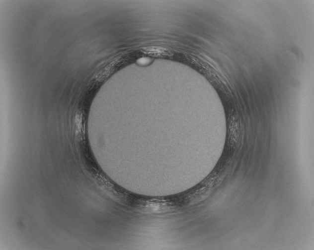 X0000115320420200912141202