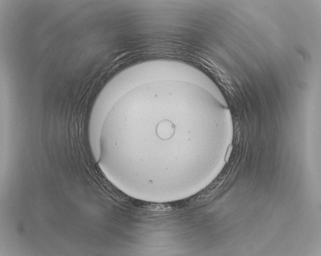 X0000115320421200912141202