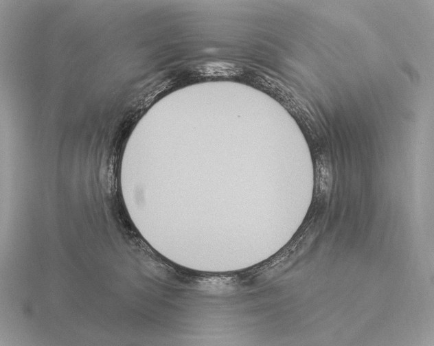 X0000115320422200912141202