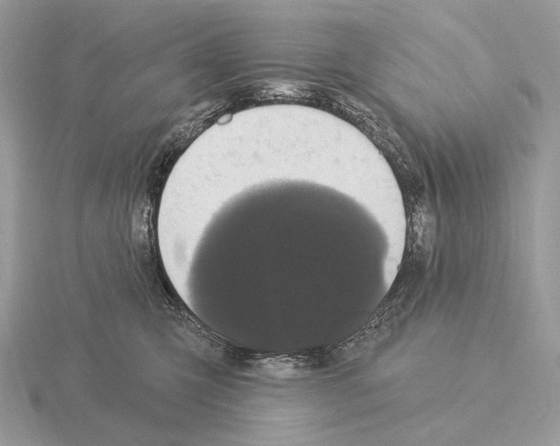 X0000115320423200912141202