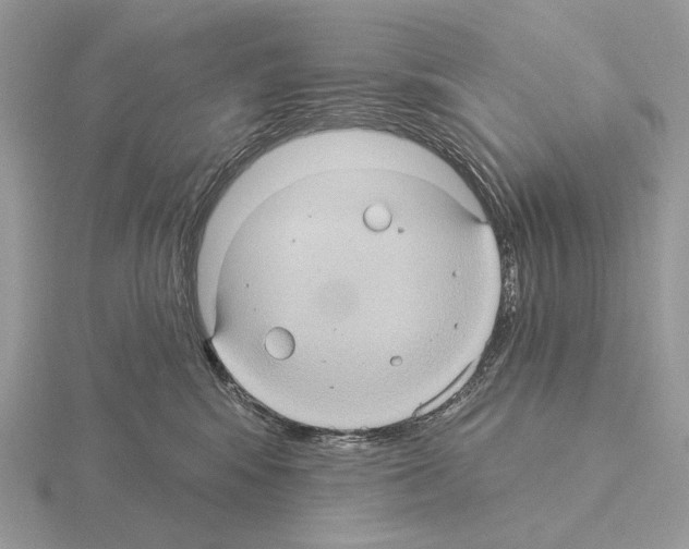 X0000115320424200912141202