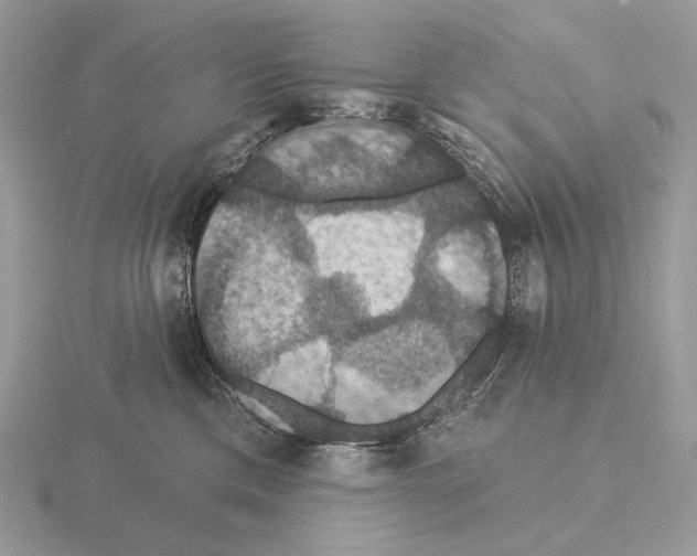 X0000115320425200912141202