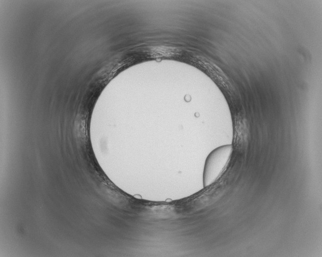 X0000115320426200912141202