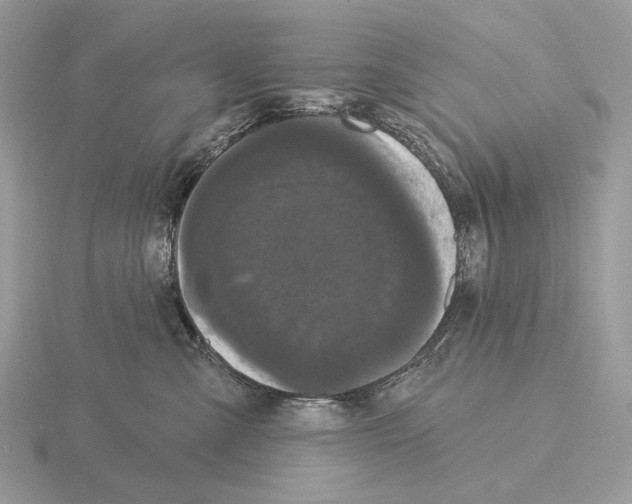 X0000115320427200912141202