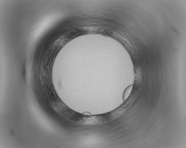 X0000115320430200912141202