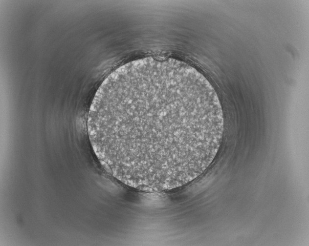 X0000115320432200912141202