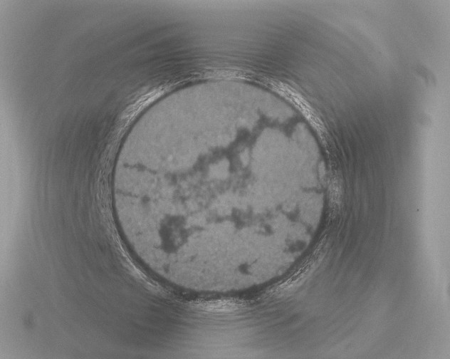 X0000115320433200912141201