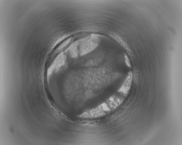 X0000115320434200912141201