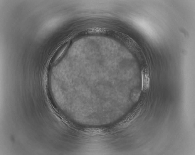 X0000115320435200912141201