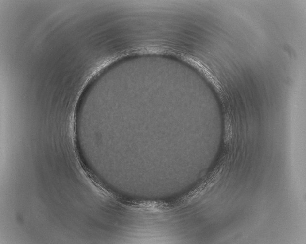 X0000115320439200912141201